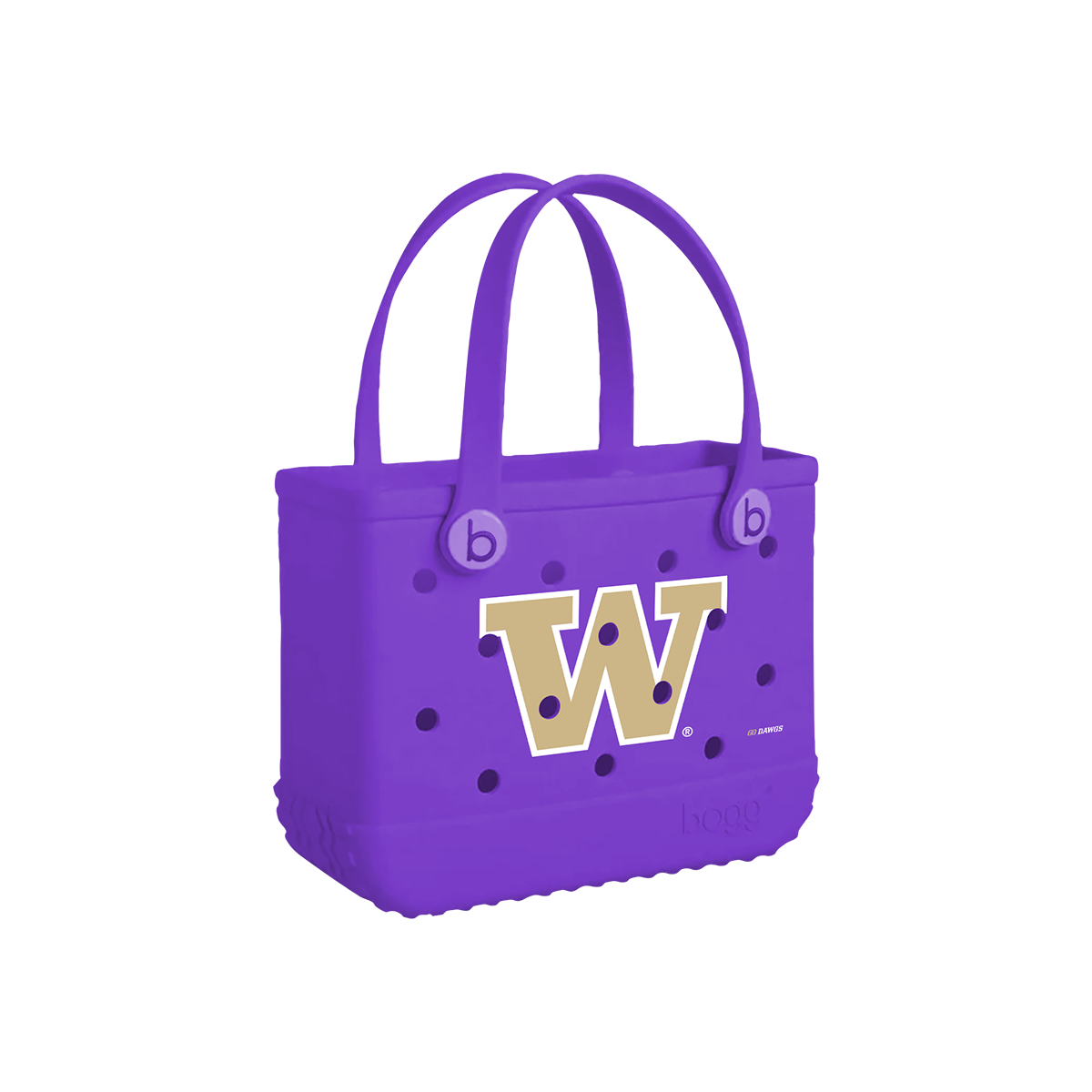 Bitty_Washington-Huskies_A.png